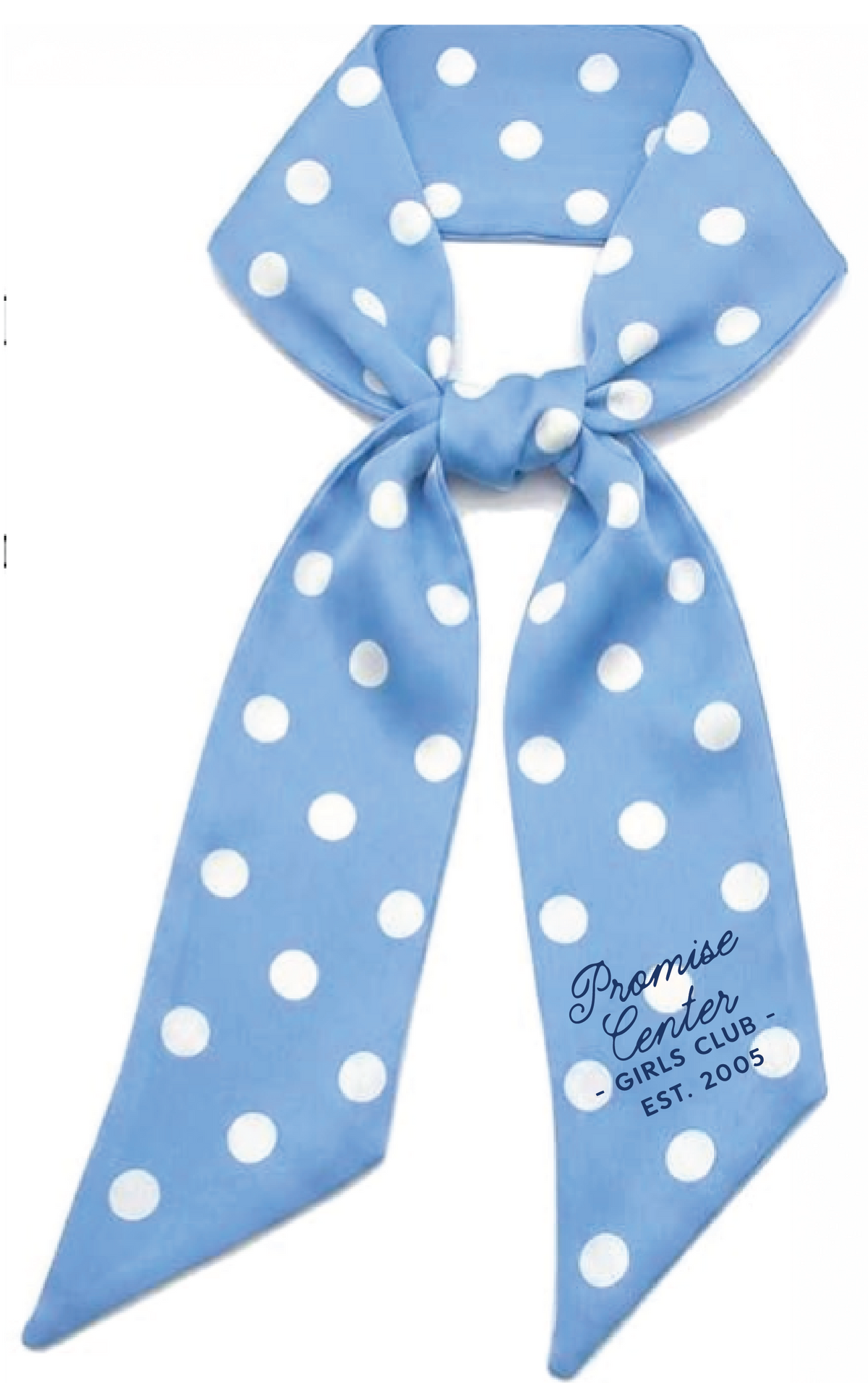 Promise Center Purse Scarf - Blue & White Polka Dot