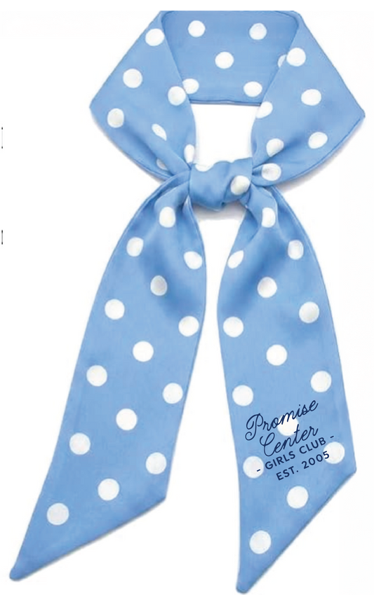 Promise Center Purse Scarf - Blue & White Polka Dot